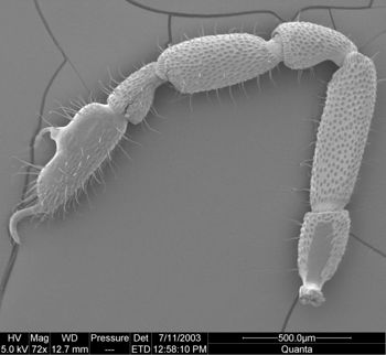 Media type: image; Invertebrate Zoology 134644